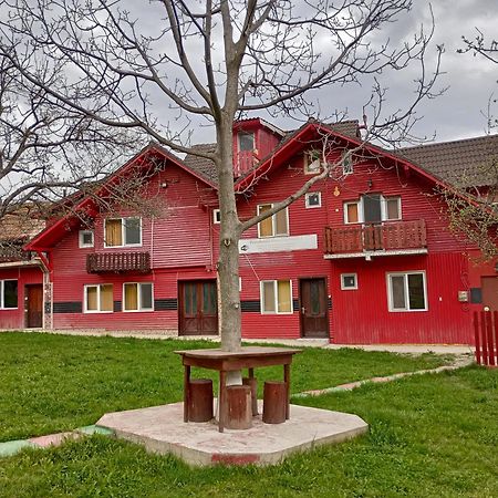 Pensiunea Irina 3 Zărneşti Dış mekan fotoğraf