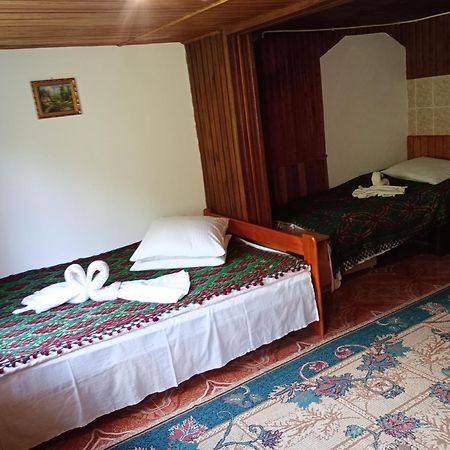 Pensiunea Irina 3 Zărneşti Dış mekan fotoğraf