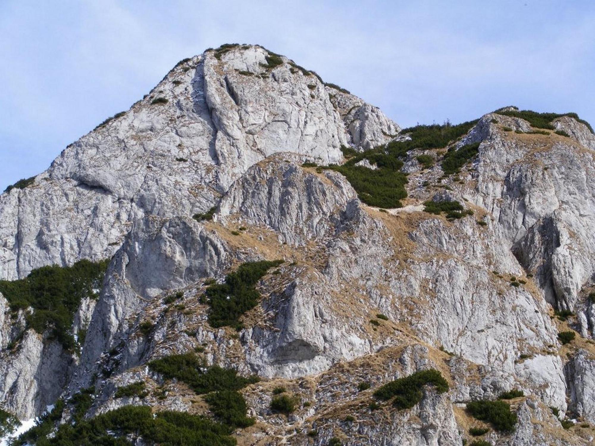 Pensiunea Irina 3 Zărneşti Dış mekan fotoğraf