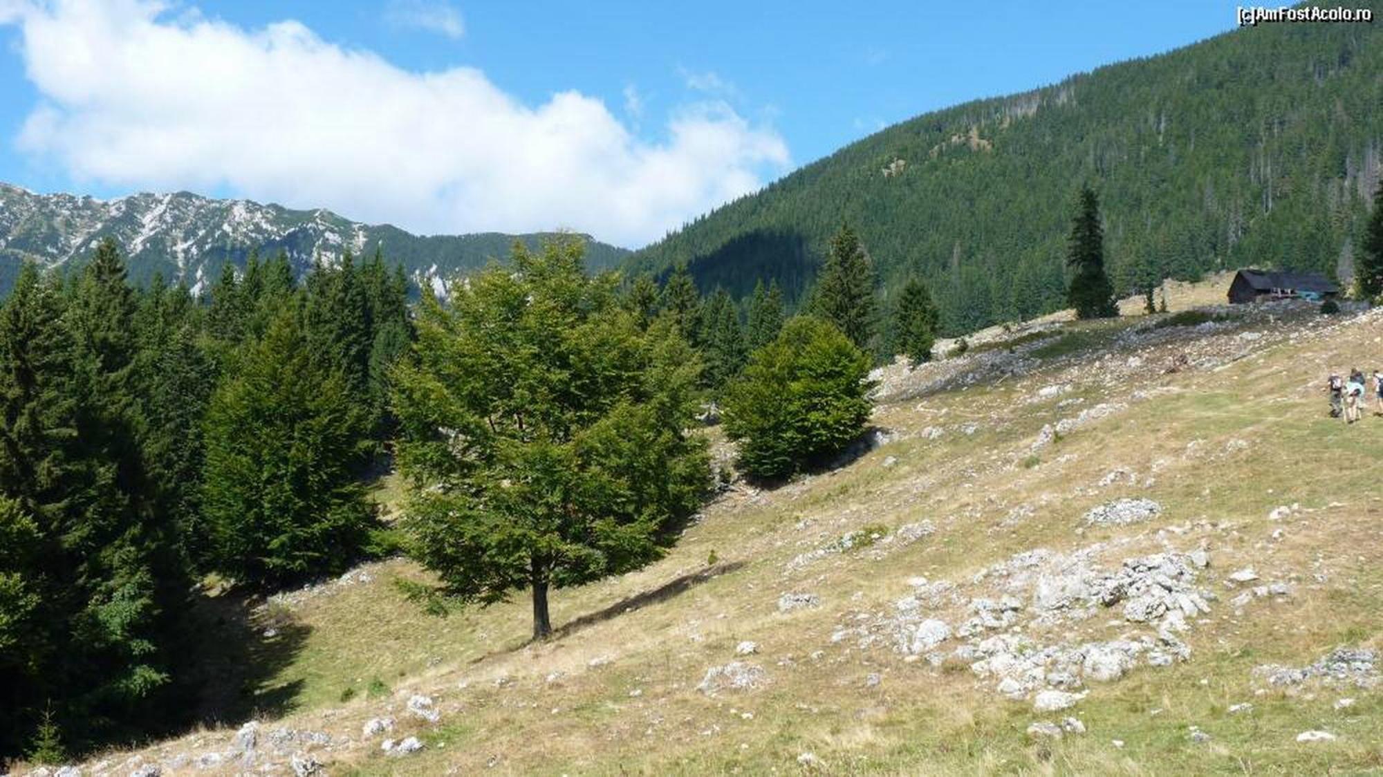 Pensiunea Irina 3 Zărneşti Dış mekan fotoğraf