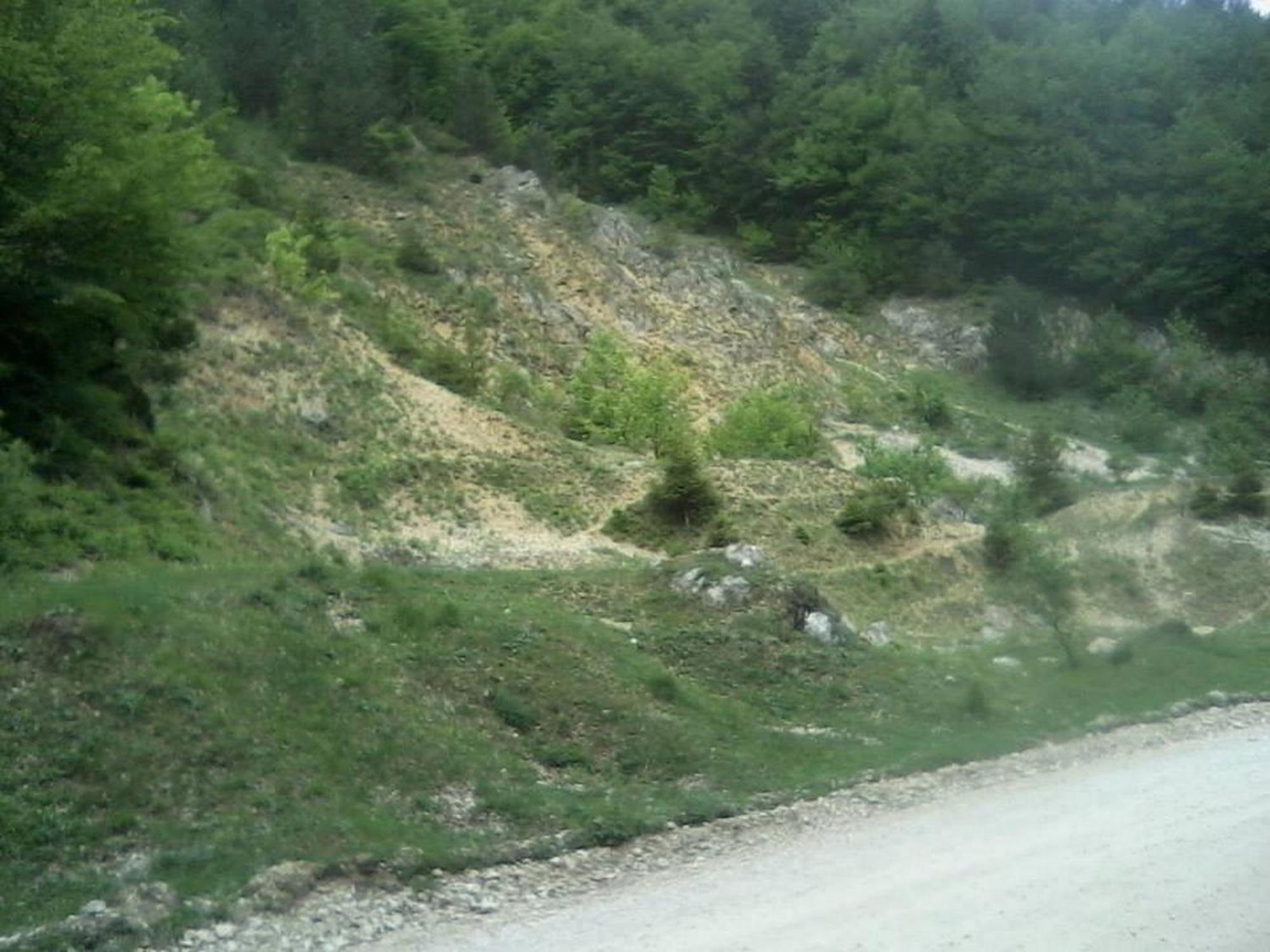 Pensiunea Irina 3 Zărneşti Dış mekan fotoğraf