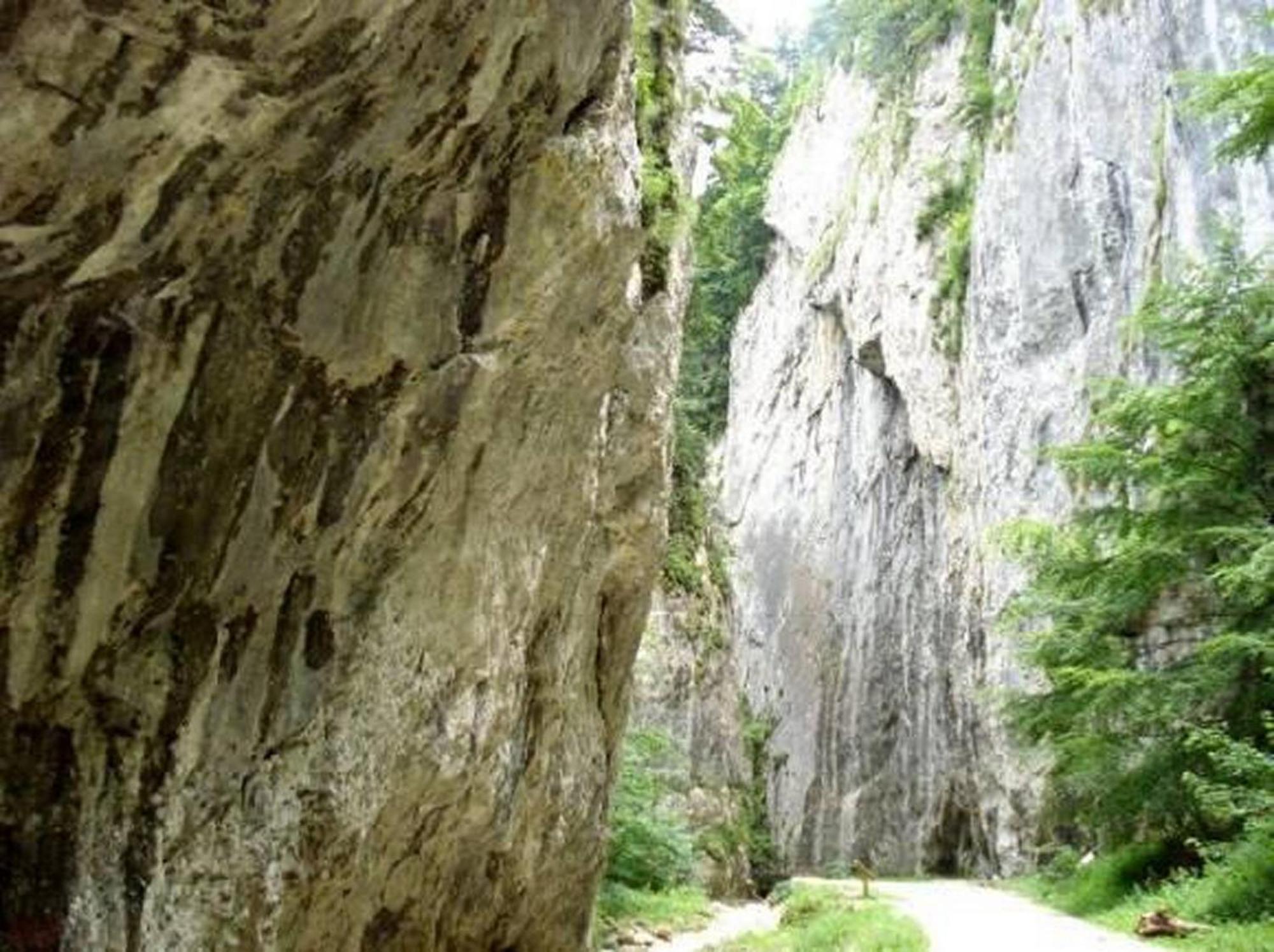 Pensiunea Irina 3 Zărneşti Dış mekan fotoğraf