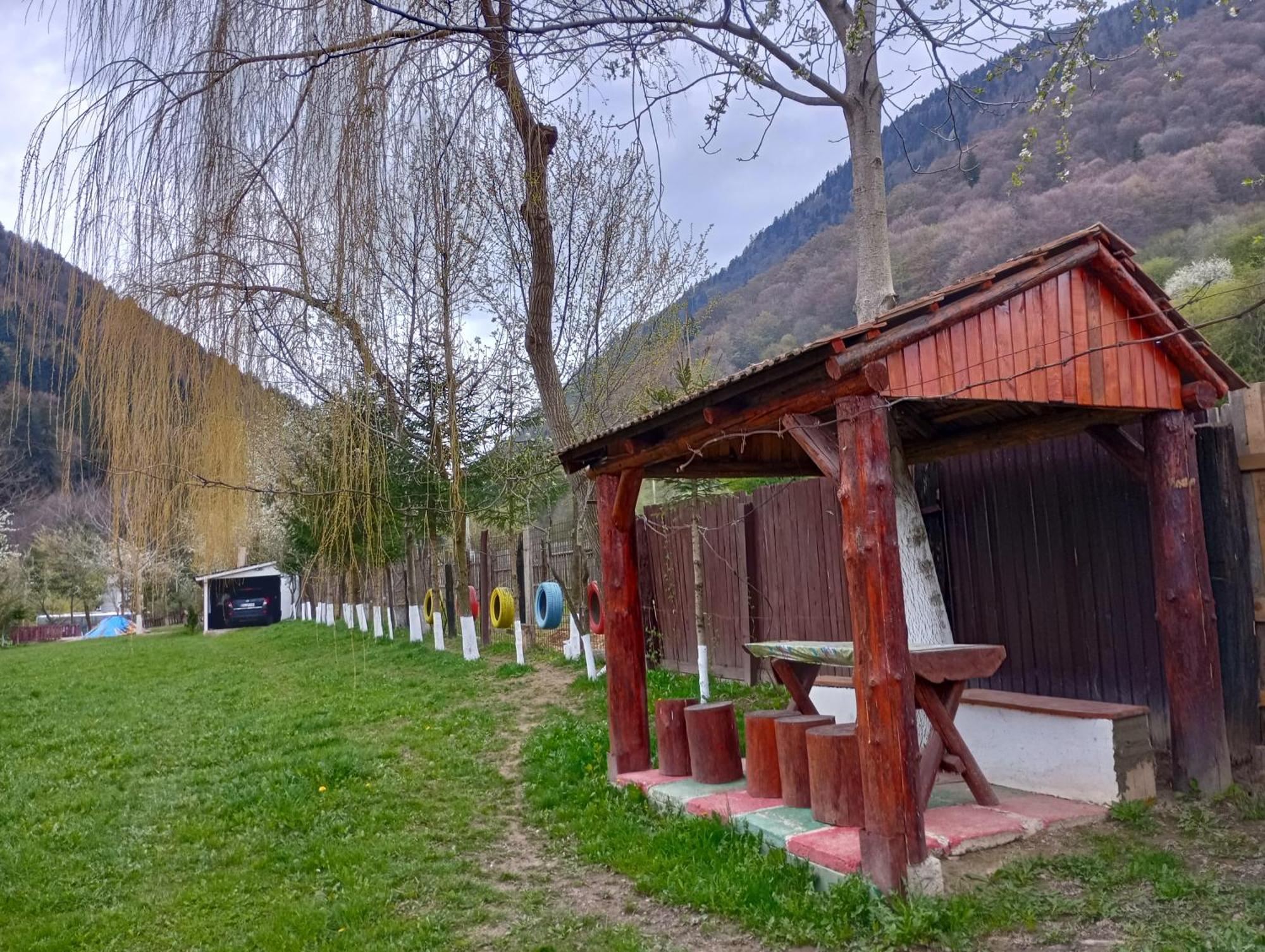 Pensiunea Irina 3 Zărneşti Dış mekan fotoğraf