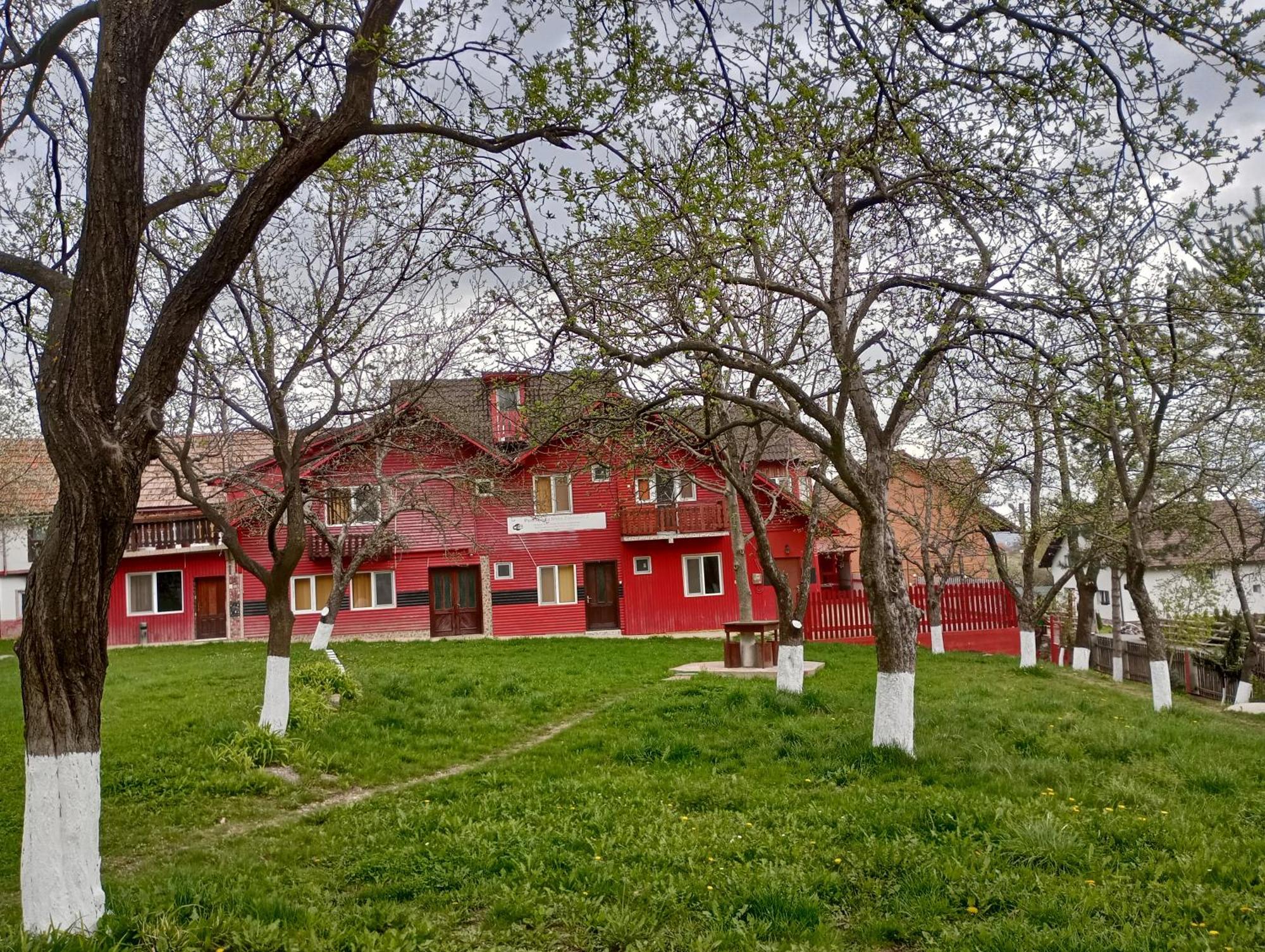 Pensiunea Irina 3 Zărneşti Dış mekan fotoğraf