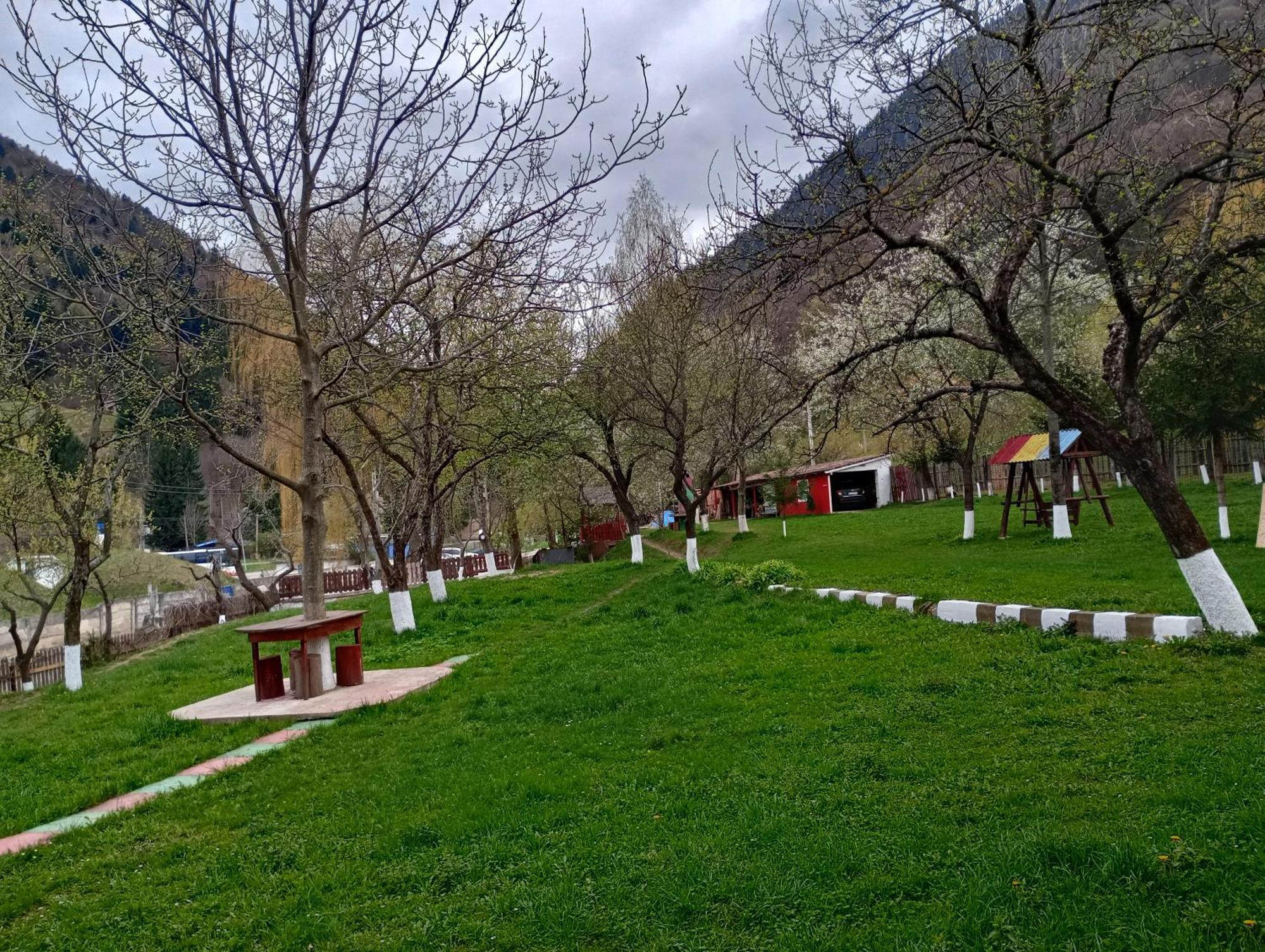 Pensiunea Irina 3 Zărneşti Dış mekan fotoğraf