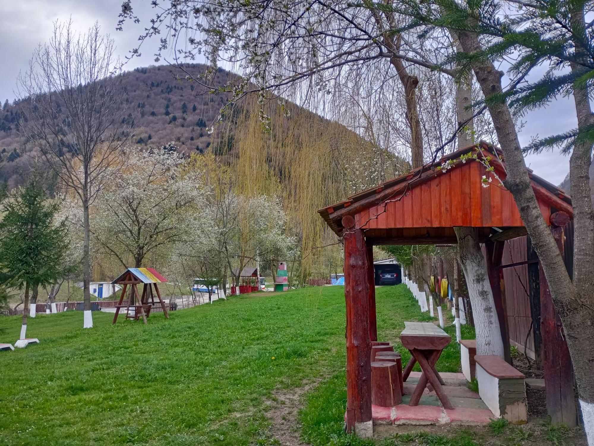 Pensiunea Irina 3 Zărneşti Dış mekan fotoğraf
