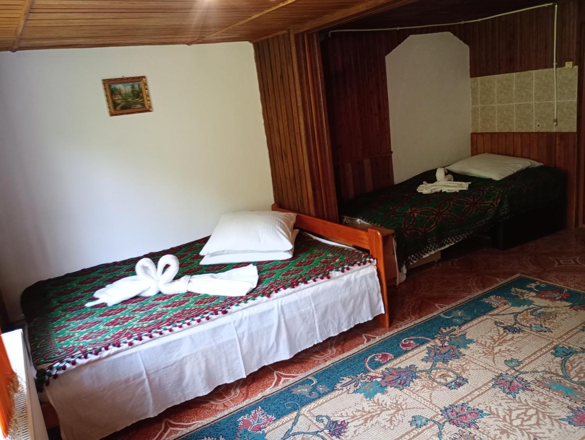 Pensiunea Irina 3 Zărneşti Dış mekan fotoğraf